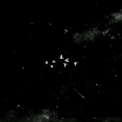 目には星があり、目には誰もいない