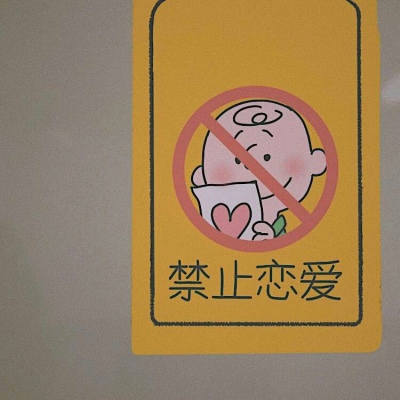 白灏宇:风景静物头像/唯美/文字/人间理想