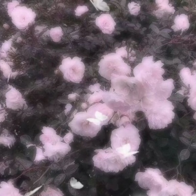 目には星があり、目には誰もいない
