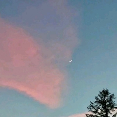 唯美风景头像/你很美，风景也很美