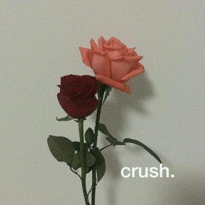 背景图 今日