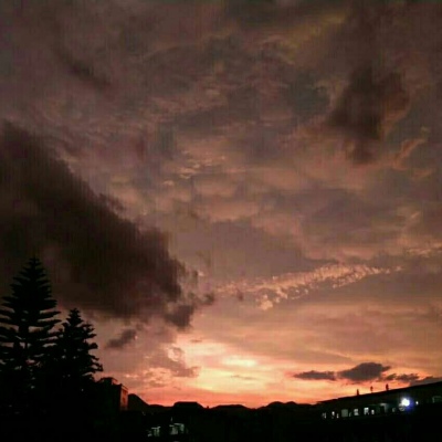 风景静物
