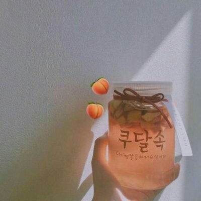 风景静物