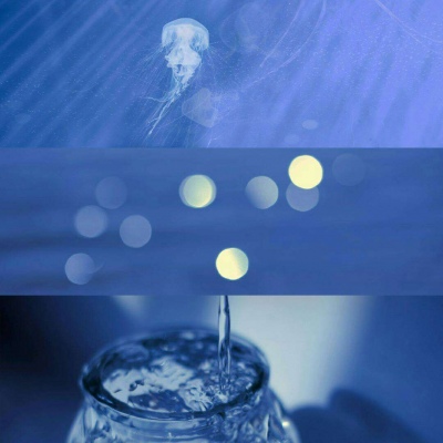 莫稚? 我的征途是星辰大海
