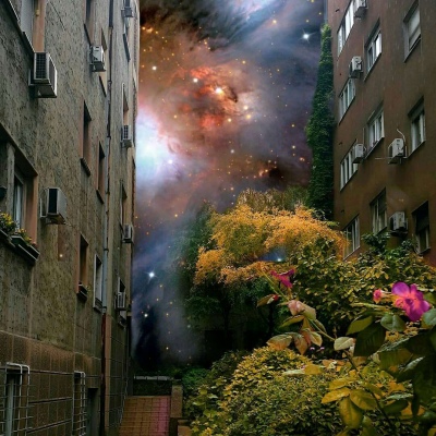 莫稚? 我的征途是星辰大海
