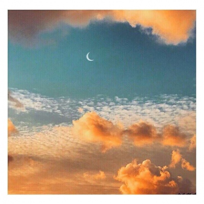 莫稚? 我的征途是星辰大海