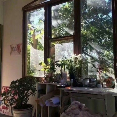 『光影』“我是迎著夏日晨光，蹦跳到世界上来的一头小鹿。”