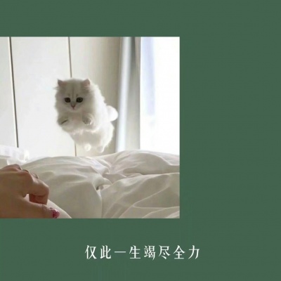绿系，背景图