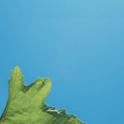 江奕/唯美蓝色天空小清新背景图/我携满天星辰以赠你 仍觉星辰不及你