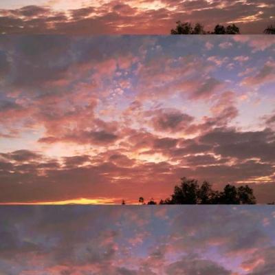 背景图