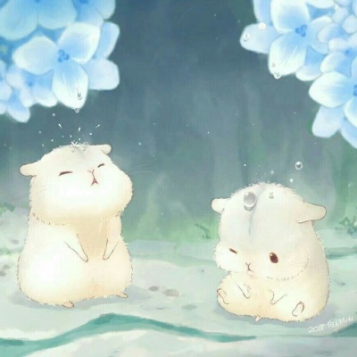 松鼠（嘻嘻）