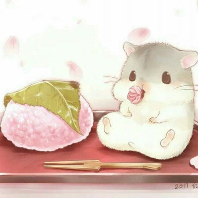 松鼠（嘻嘻）