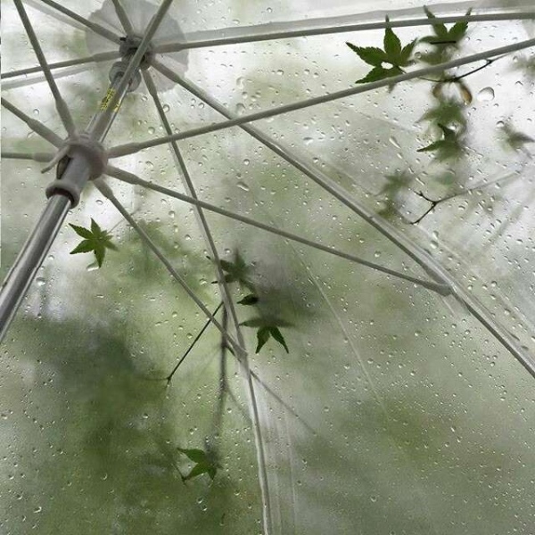 苏濯:干净绿色系风景图 做个少女 心中藏诗 脸上抹奶油.