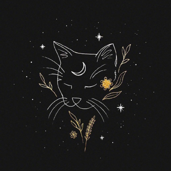 芯儿   黑色系星球背景图