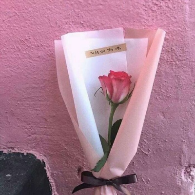 安奈 粉色少女系背景图 好好说话 不许凶我 不许冷战