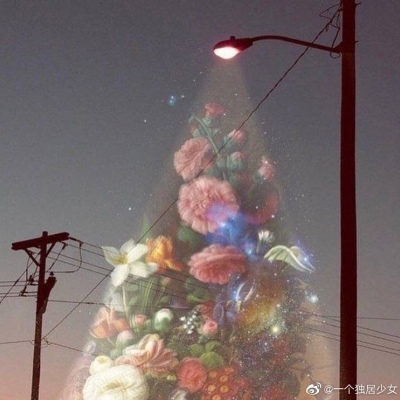 努力鸭！
