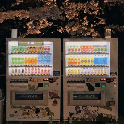 努力鸭！