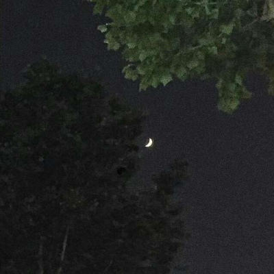 努力鸭！