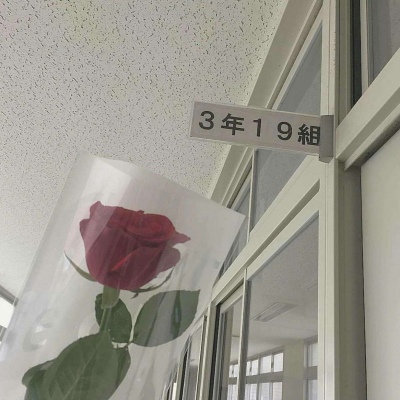 努力鸭！
