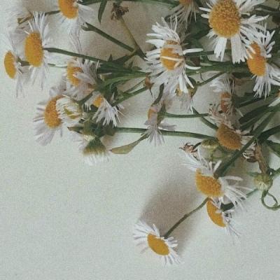 你我未有幸 一起说声愿意