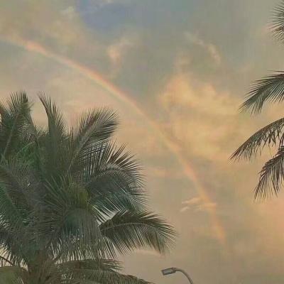 你我未有幸 一起说声愿意