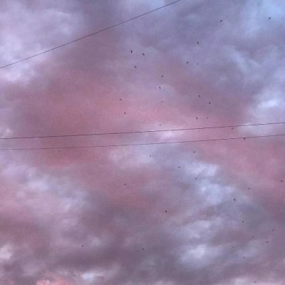 江绾：背景图‖那就祝你好运 下辈子不要