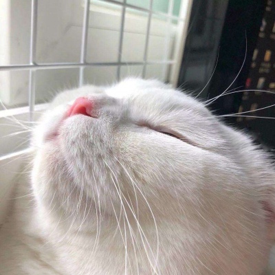 江绾：背景图‖那就祝你好运 下辈子不要