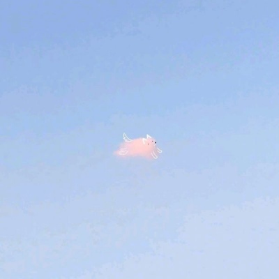 后来才明白不依不饶的付出就像热水养花.