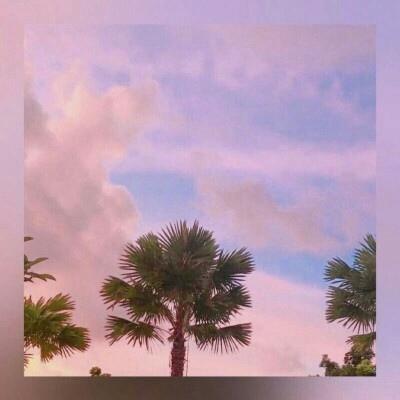 背景图 今日