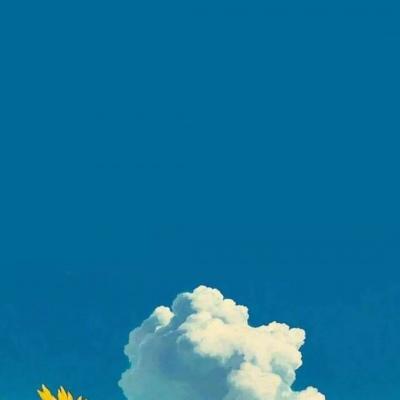 背景图 今日