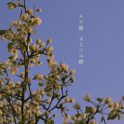 江奕/生活系列简单背景图/你是踩碎星光落入我梦境的一袋幻想.