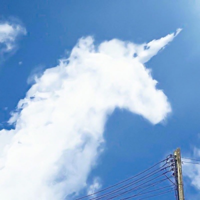蓝色风景头像／期待明天