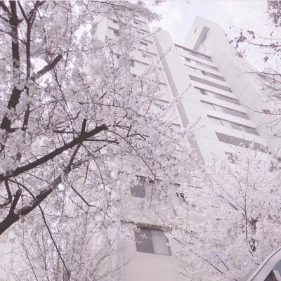 千鹤/温柔系列风景图/图源dt