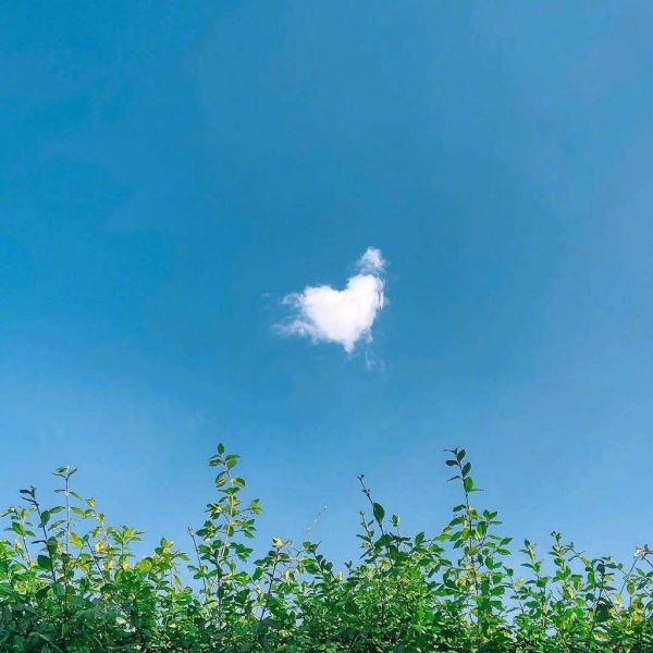 蓝色小清新/天空/风景/头像背景图/好天气