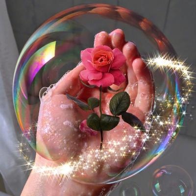 微信静物头像/想就这样静静地陪你很久，就算彗星撞向了地球