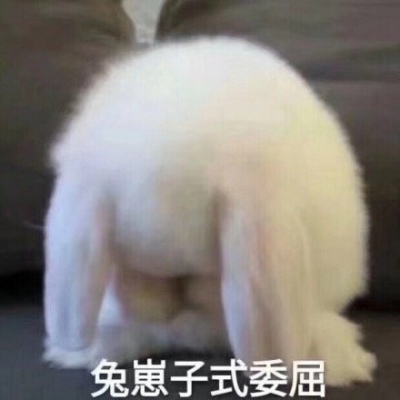 芯儿    搞笑沙雕表情包头像