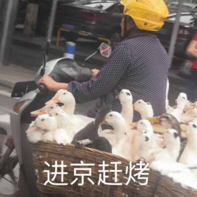 芯儿    搞笑沙雕表情包头像