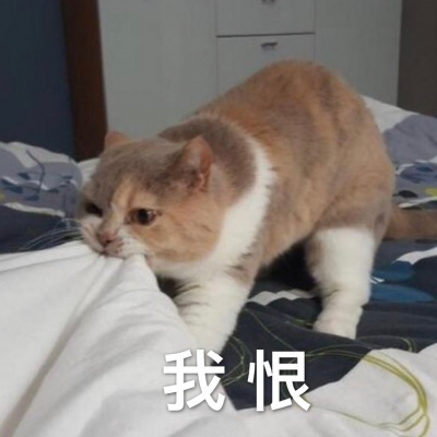 芯儿    搞笑沙雕表情包头像