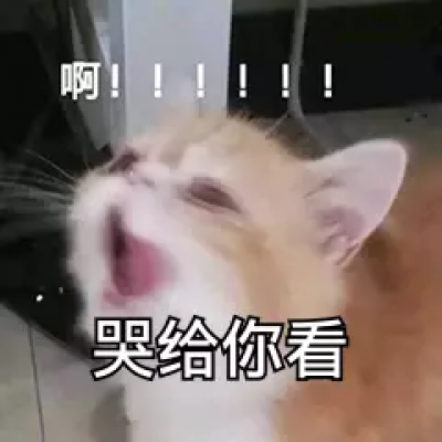 表情包#