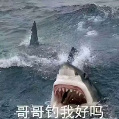 沙雕表情包