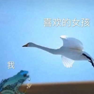 沙雕表情包