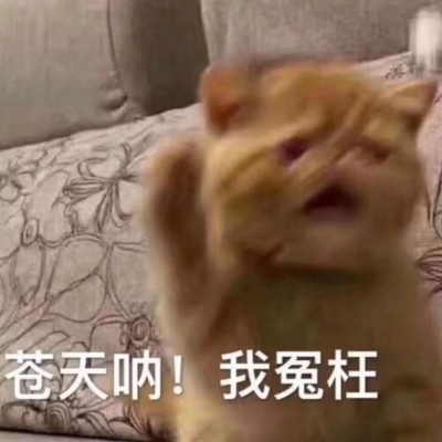 沙雕表情包
