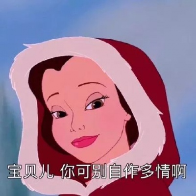 迪斯尼公主搞笑表情包/知道什么叫做走火吗