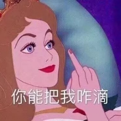 迪斯尼公主搞笑表情包/知道什么叫做走火吗