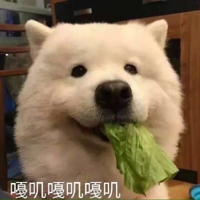 今天想吃点什么呢？兔兔。