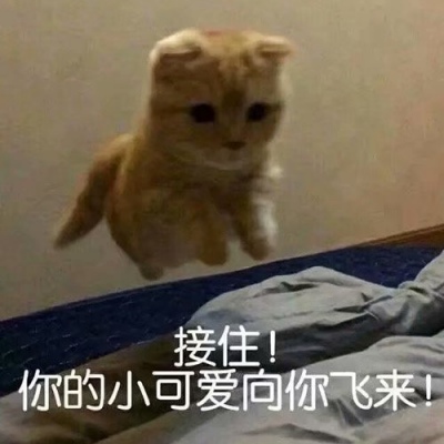 恬恬/沙雕网友必备聊天图/网友们快来领取属于你的聊天图