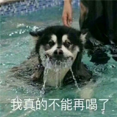 恬恬/沙雕网友必备聊天图/网友们快来领取属于你的聊天图