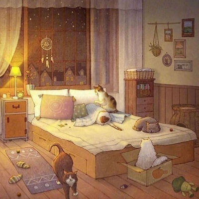 温馨插画分享/猫咪的世界/limduey