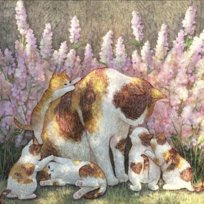 温馨插画分享/猫咪的世界/limduey