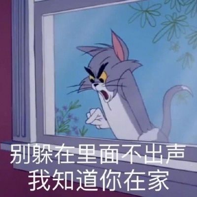 苏辙│猫和老鼠│我竟想着要把我的前半生拍成电影给你看
